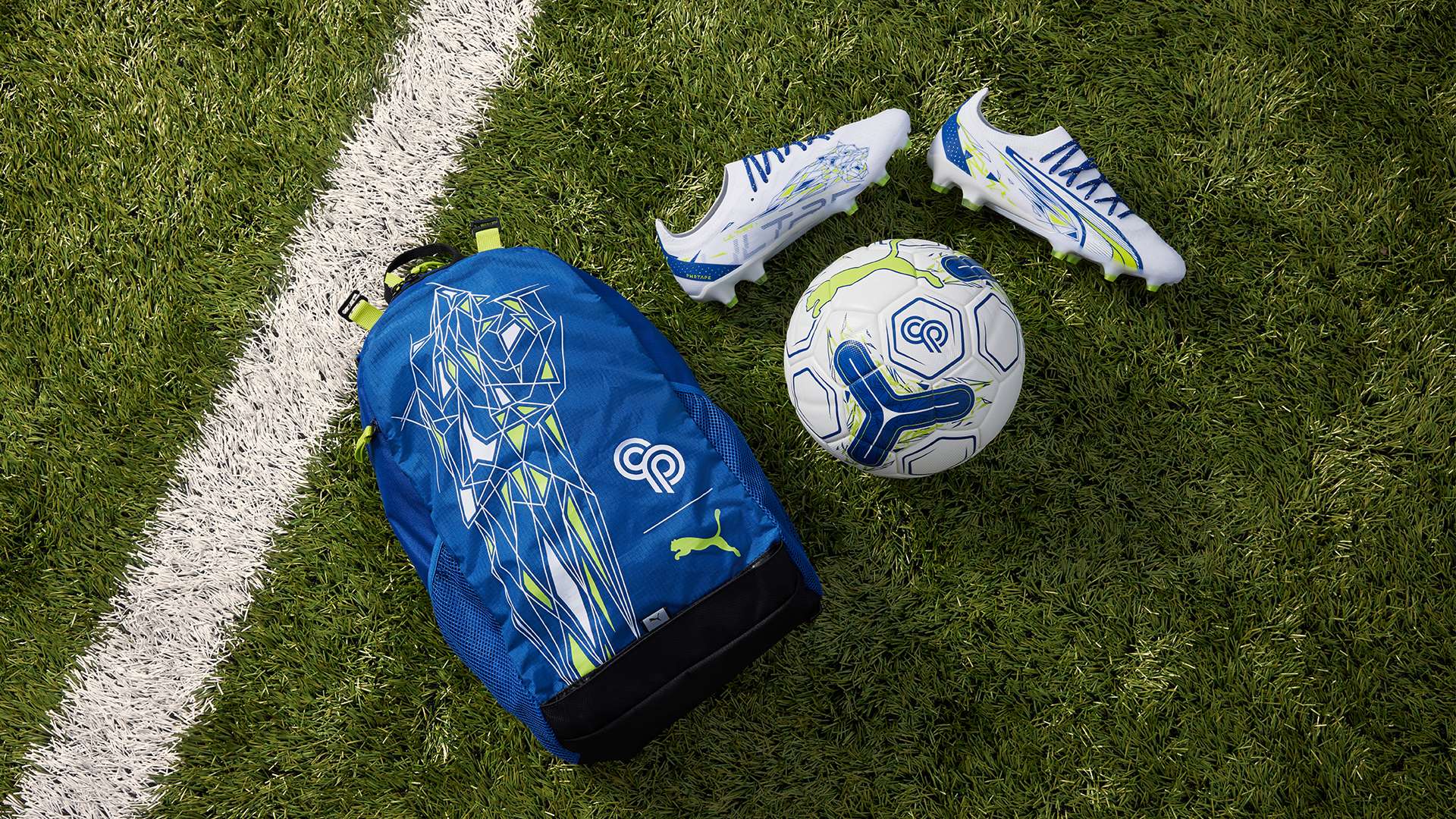 著全世界目 著全世界目