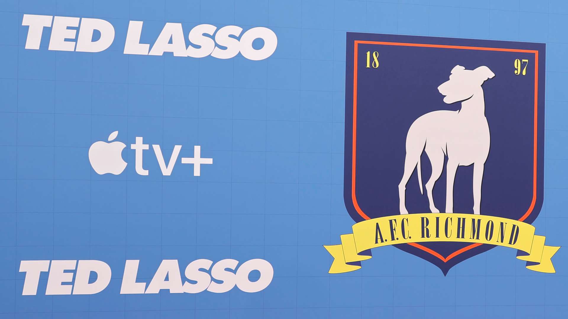 这也证明了 这也证明了